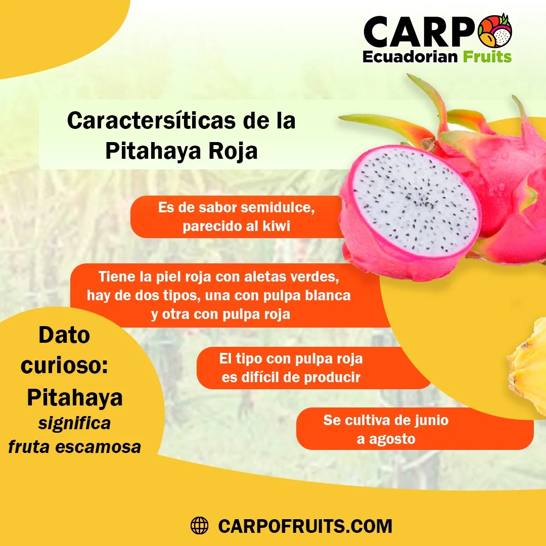 Pitahaya Roja